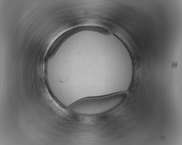 X0000111021092200907101334
