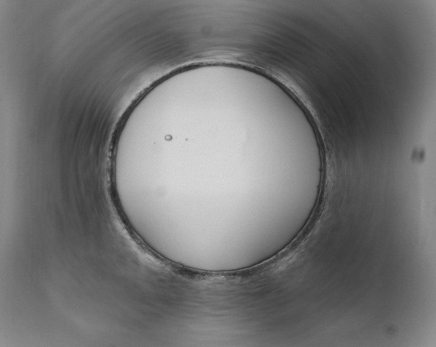 X0000111021093200907101334