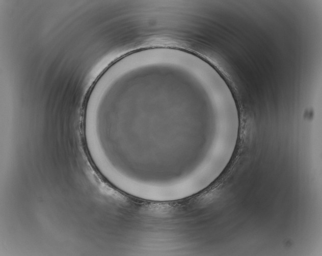 X0000111021094200907101334