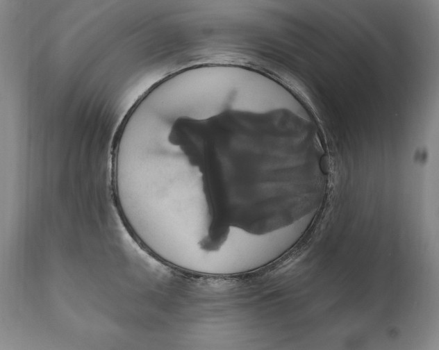X0000111021095200907101334