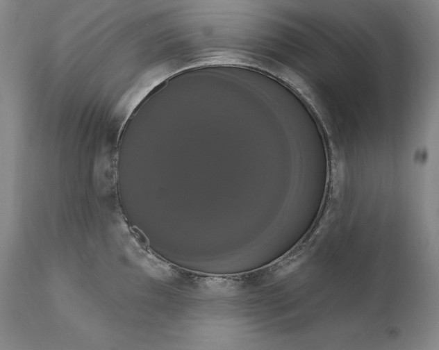 X0000111021097200907101334