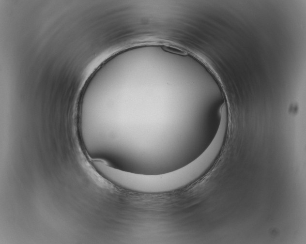 X0000111021098200907101334