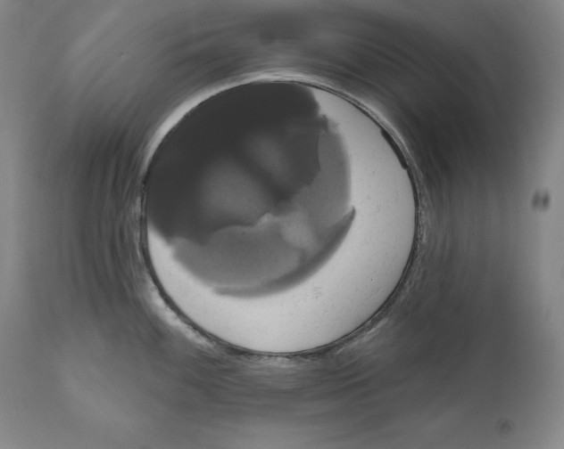 X0000111021100200907101334