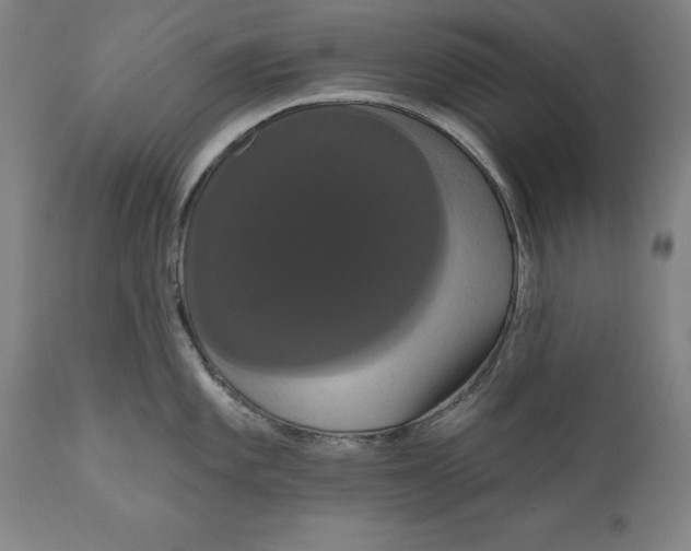 X0000111021101200907101334