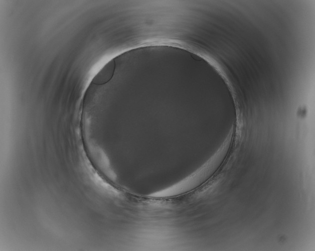 X0000111021102200907101334