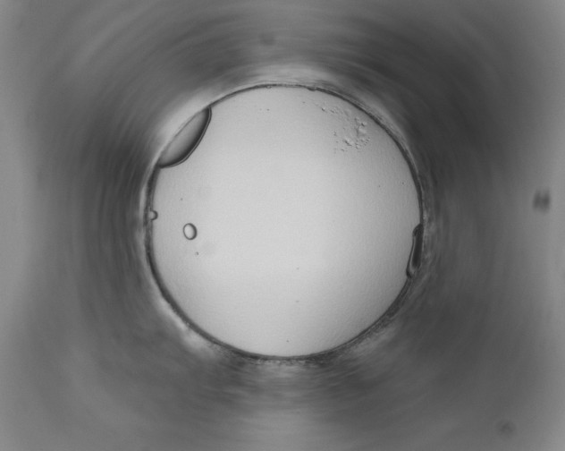 X0000111021103200907101334