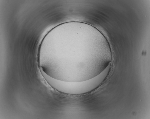 X0000111021104200907101334