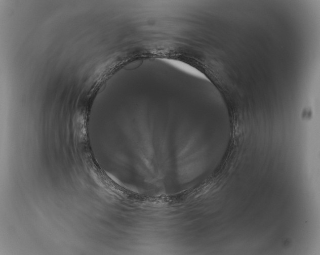 X0000111021106200907101333