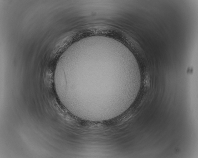 X0000111021108200907101333