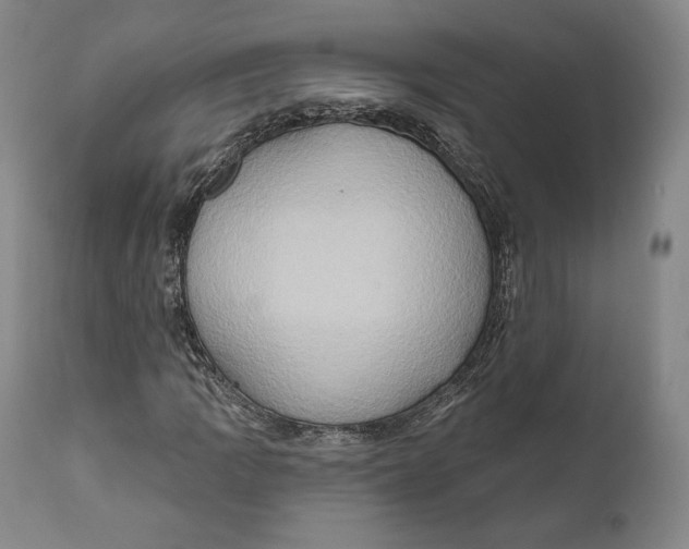X0000111021109200907101333