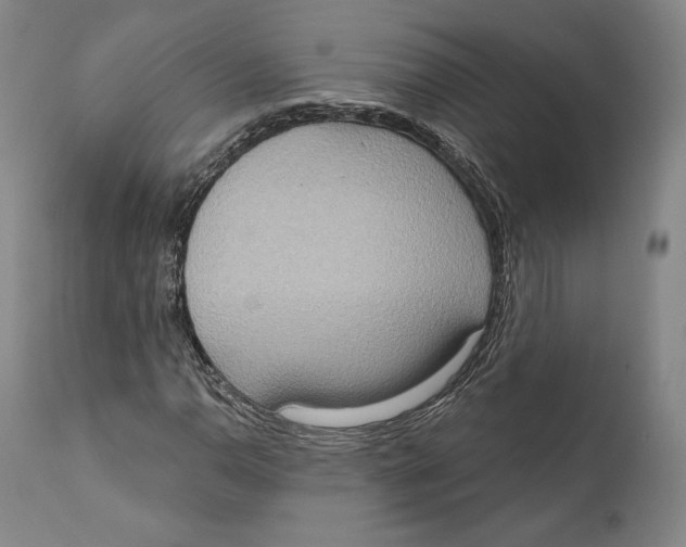 X0000111021110200907101333