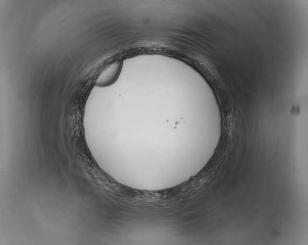 X0000111021111200907101333