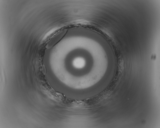X0000111021112200907101333
