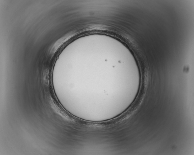 X0000111021113200907101333