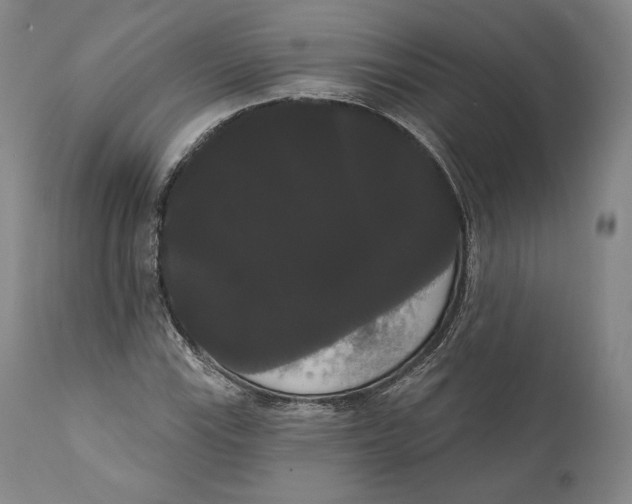 X0000111021115200907101333