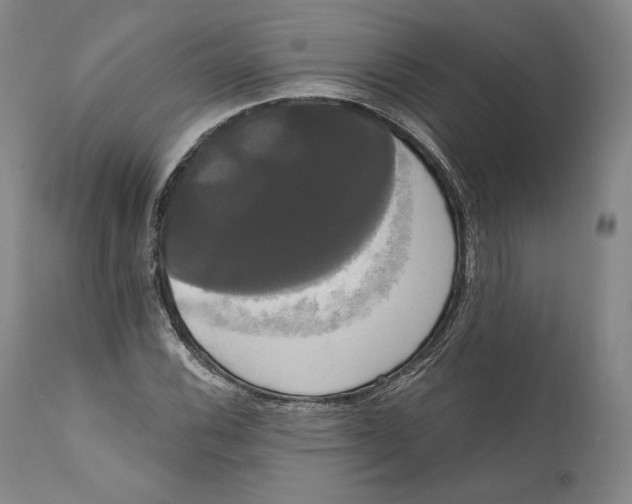 X0000111021116200907101333