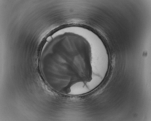 X0000111021117200907101333