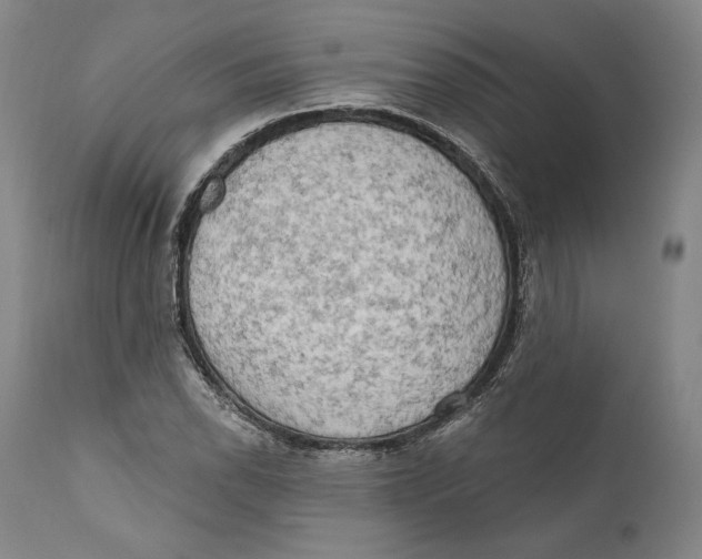 X0000111021118200907101333