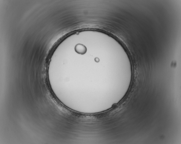 X0000111021119200907101334