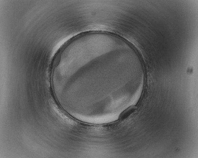X0000111021120200907101334
