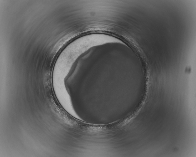 X0000111021121200907101334