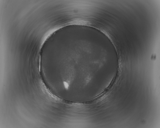 X0000111021123200907101334