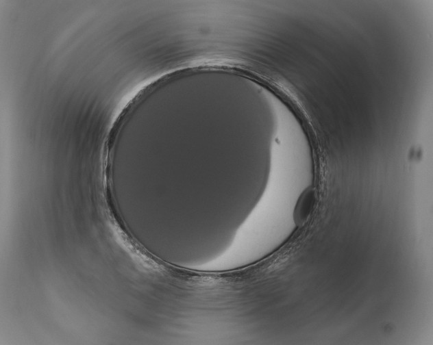 X0000111021124200907101334