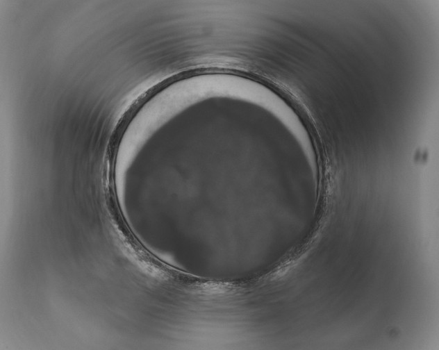 X0000111021125200907101334