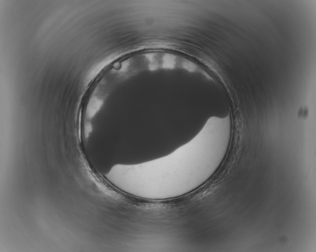 X0000111021127200907101334