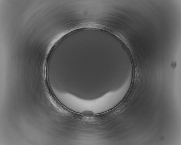 X0000111021128200907101334