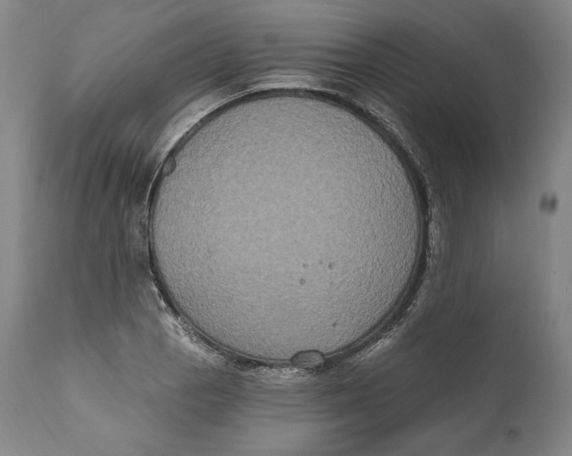 X0000111021129200907101334