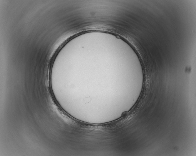 X0000111021131200907101334