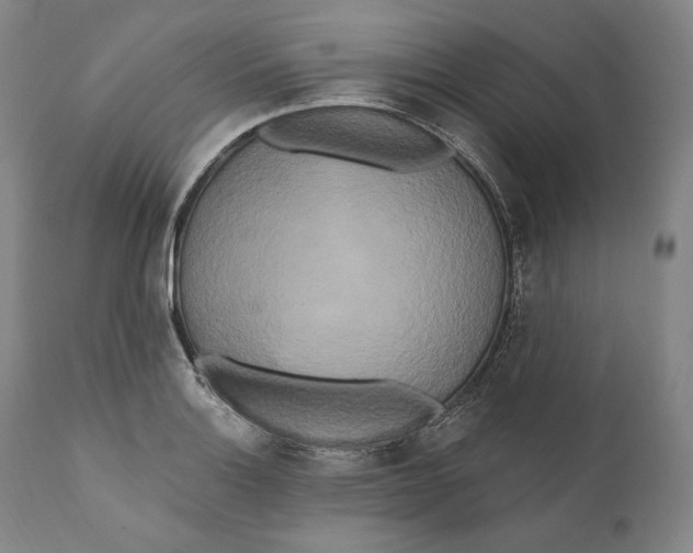 X0000111021132200907101334