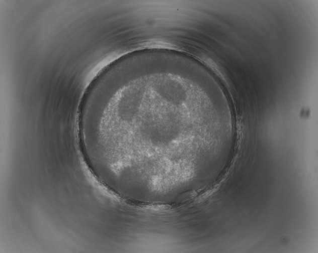 X0000111021133200907101334