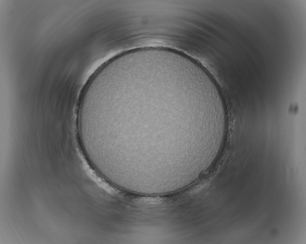 X0000111021134200907101334