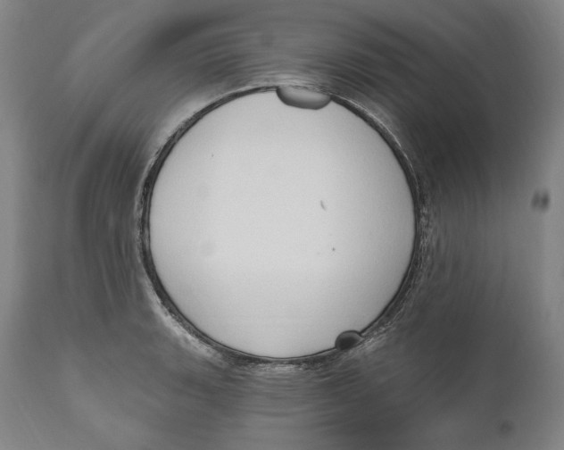 X0000111021135200907101334