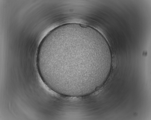 X0000111021139200907101334