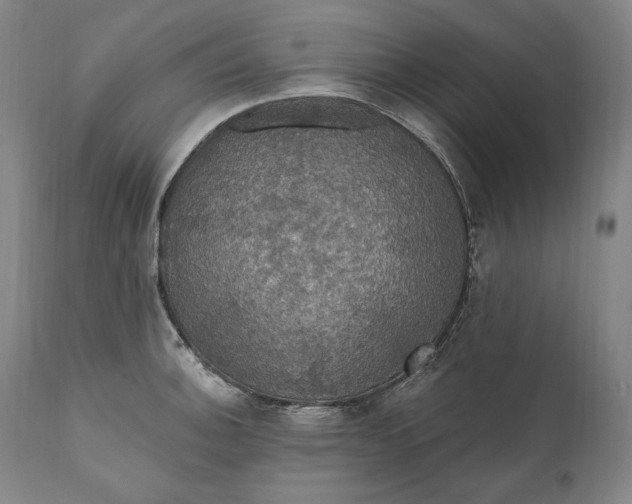 X0000111021140200907101334