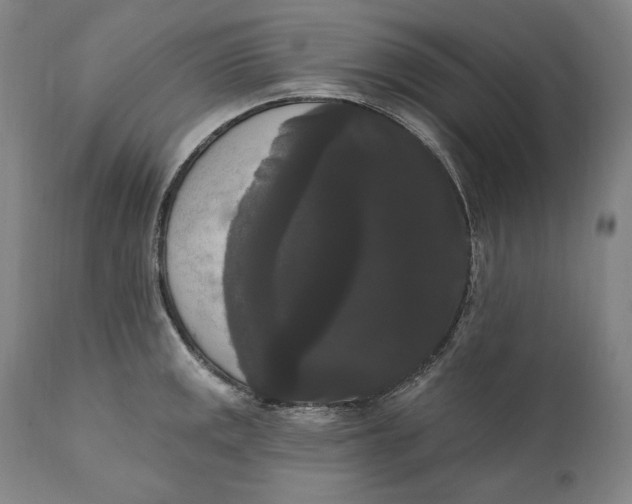 X0000111021141200907101334