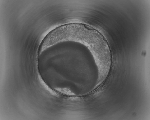 X0000111021142200907101334