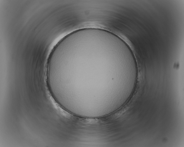 X0000111021144200907101334