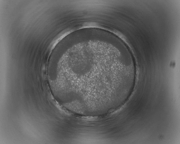 X0000111021145200907101334