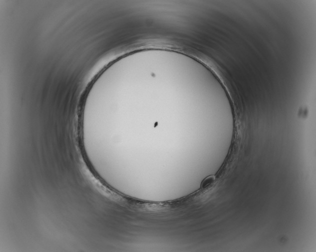 X0000111021147200907101334