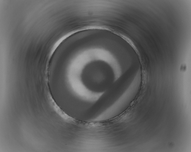 X0000111021148200907101334
