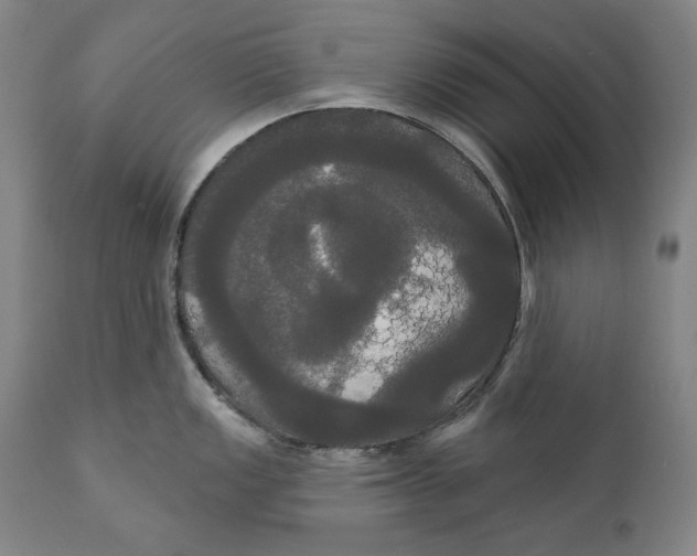 X0000111021149200907101334