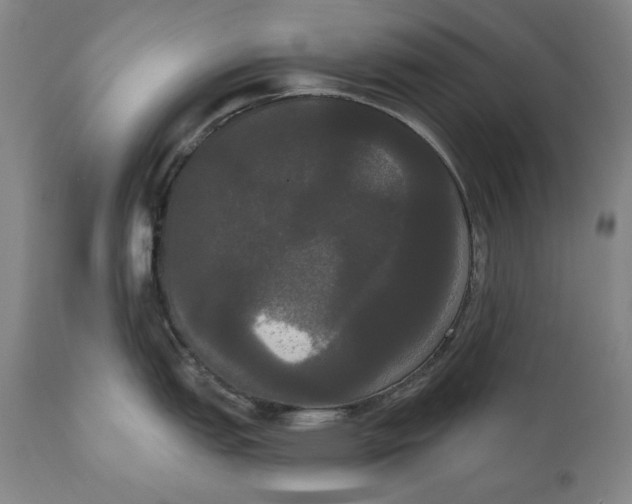 X0000111021151200907101334