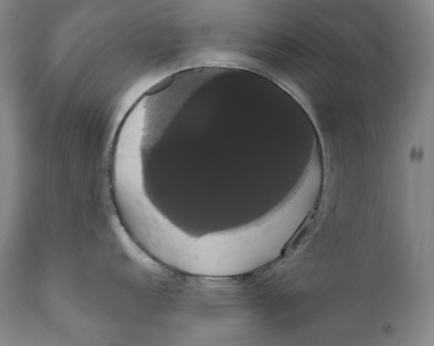 X0000111021152200907101334