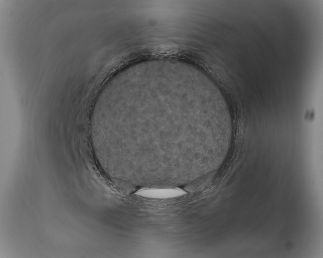 X0000111021153200907101333