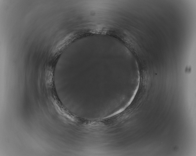 X0000111021154200907101333