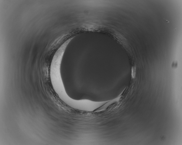 X0000111021155200907101333